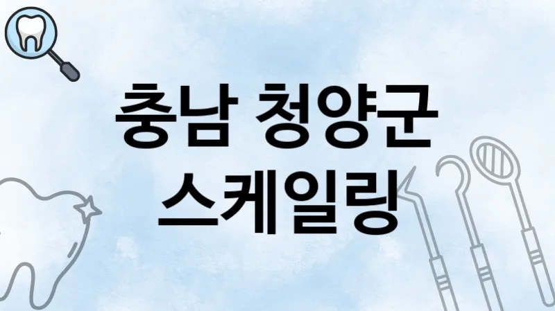 충남 청양군 스케일링 치과 추천 1
