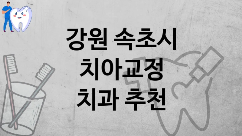 강원 속초시
치아교정
치과 추천